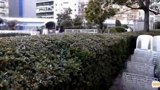 野花社区大全免费观看3在线完整版电影在线观看🔞历史中文字幕一区二区三区...